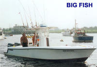 Deep  Fishing Cape  on Cape Cod Deep Sea Fishing Vessels From Big Fish Fishing Charters